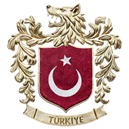 Club logo football club FC Osmanli uit Brasschaat