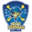 Clublogo voetbalvereniging City Pirates