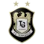 Vereinslogo Fußballverein FC Türkgücü
