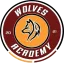 Clublogo voetbalvereniging FC Wolves Brussels
