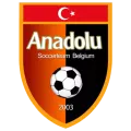Club logo football club Anadolu Antwerpen
