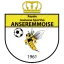 Clublogo voetbalvereniging RJS Anseremmoise