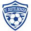 Club logo football club FC Destelbergen