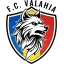 Club logo football club FC Valahia Tienen